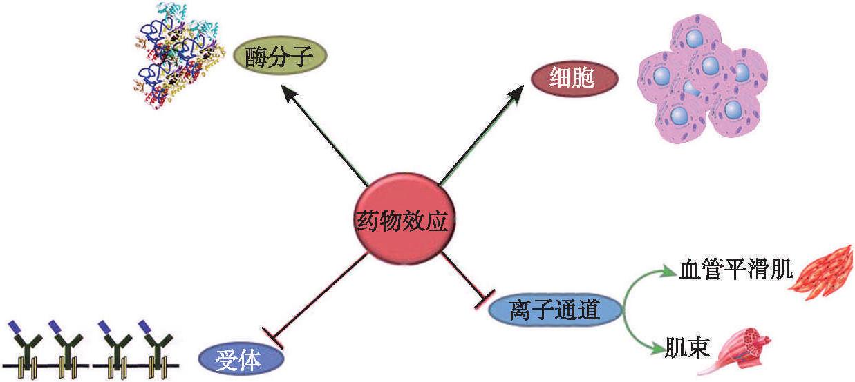 7 理想數(shù)學模型方法的標準